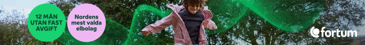 fortum banner